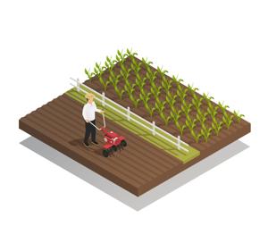 Agriculture
